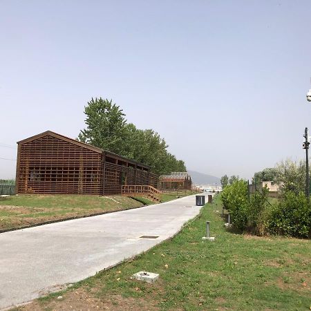 Bnb Nonna Maria Poggiomarino Buitenkant foto